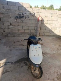 بوتين • معمر • نضيف