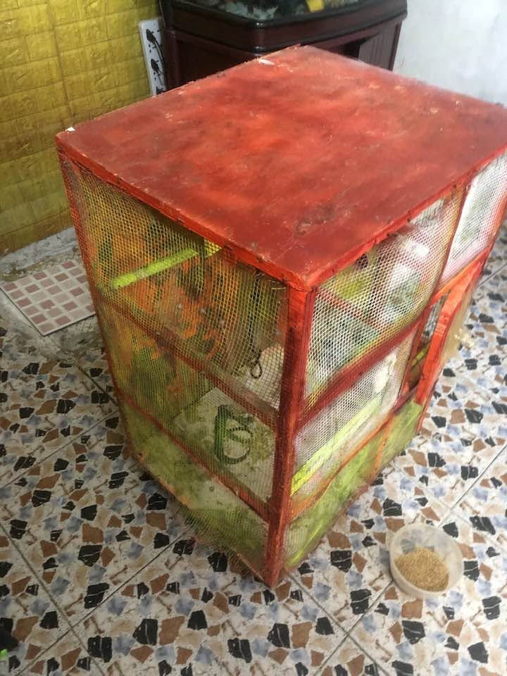 كوكتيل وحشي نثيه وذكر معه قفص خشبي معه بيض كامله السعر50 وبيع مجال المكان حي اور


**إذا كنت صاحب هذا الإعلان وتريد حذفه لأي سبب، رجاءا أرسل رسالة إلى الدعم الفني**