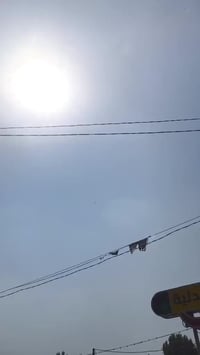 بايسكل • مديل ٢٣ • وارد اسبوعين