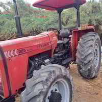 فوركسن • ٢٠١٦ • الصوير٥