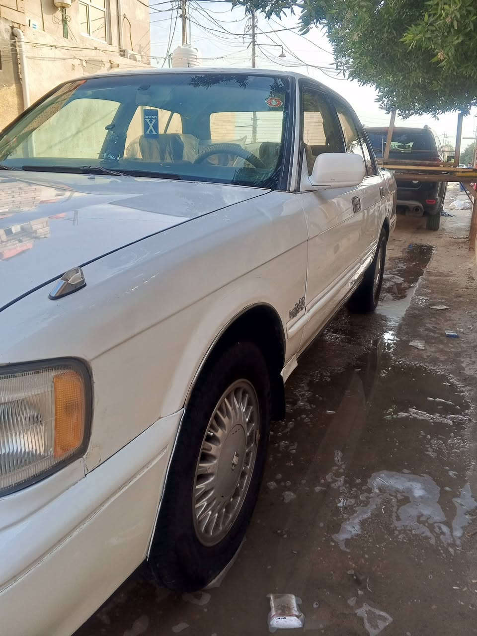 سلام عليكم ارنب للبيع نضافه كدام عينك رقم بغداد سنويه ال2030مكفوله من الضربه صبغ تكحيل بصيط مكينه 3000لا تبغر لا تنقيص كفاله بسمي مشروط وطني حداديه كارتوان تخم تاير ناصرية مركز سعر المطلوب 65.      شراي تصل ***********
