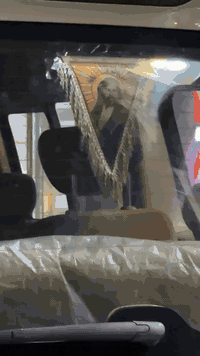 ستاركس • ٢٠١١ • رقم بابل