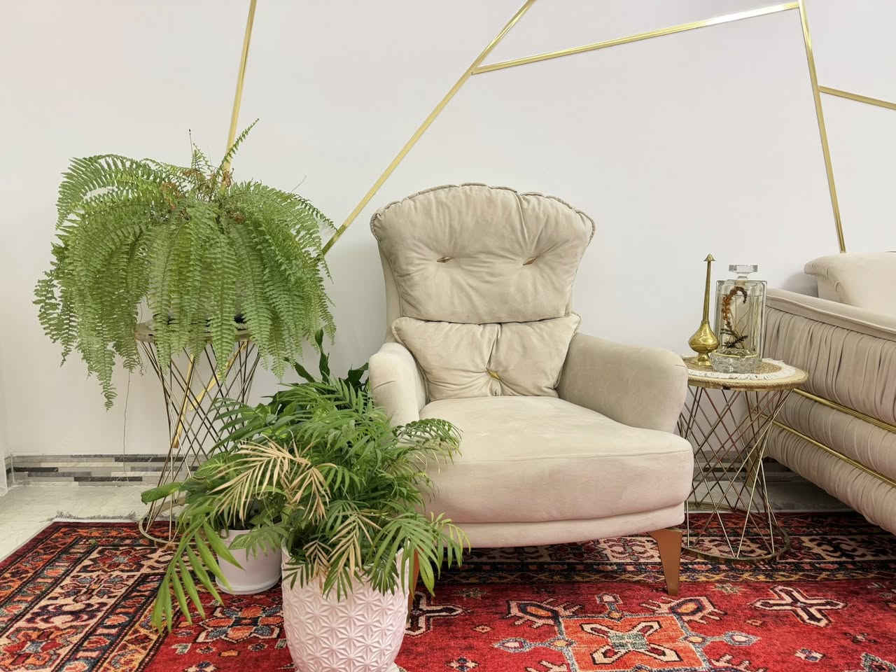 قەنەفەی تورکی ١٠نەفەری زۆر تایبەت و لاقی 😆
بەس تەپلۆکەکانی پارەی قەنەفەیە عادی پێ دریاوە💣
موشتەری نیت لە خۆتۆ نرخ مەدە چاوەکەم 
بچۆ نرخ وەرە گرە خوار ٨گەڵا بوو بەبەڵا بێ باریکە 
ئەبێ بە سیسەم دو تاکە گەورەکەی 
قوفلی٦٠٠هەزارە وە ٥٩٩هەزاریش ناوێ 
لەکەلارم چیتیش هەیە لێو ئەکرم ***********
ئۆڤەری  جەژنە زووکەن نامێنی
