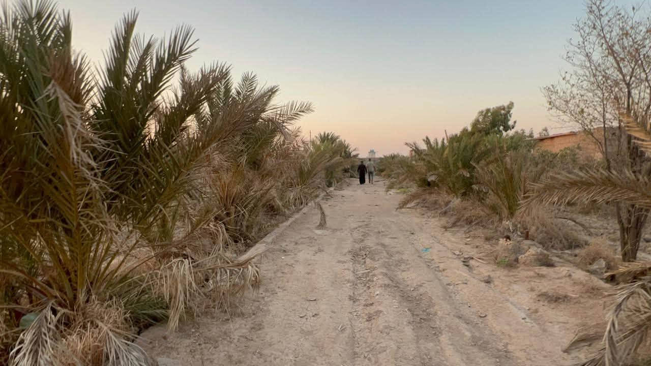 سلام عليكم من رخصت جميع يوجد بستان البيع مع بيت حقل مالت عجول متوكت البستان من نخل وزيتونات علمن البستان متروك النخل محمل بيت حارس دولم ونص المزرعه عله شارعين صخين وره جامعه ذي قار الاستفسار رقم هاتف ***********
