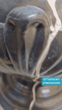 زمرد نانو سيراميك • ارتفاع ١م • كربلاء المقدسة