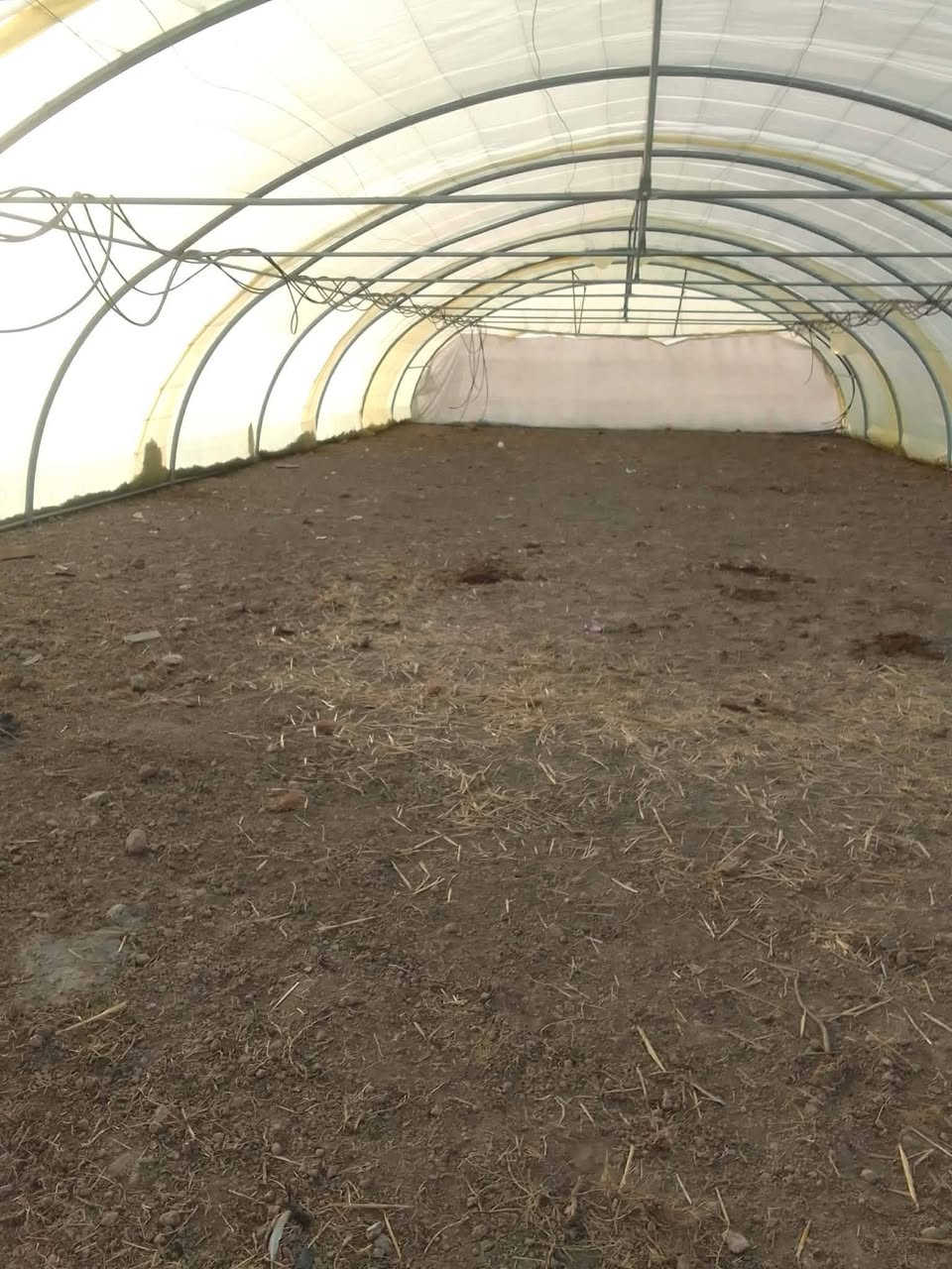 السلام عليكم بيت زجاجي للبيع استلاام جديد السعر مليون وبي مجال قليل المكان الدوايه للاستفسار الاتصال على الرقم ***********
