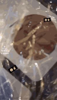 ماكس عدلة للبيع
الدراجة كهربائياتهة كامله كلهة شغاله عليه تزويد

دبلات امامي يدات بريك شيال بوشه 55جنح خلفي سلف رياضي 55 ابلاد مفتوحه بس  ولفات الشراي يدخل خاص وهاذة رقمي *********** وسعره 450وبيه مجال..مامتواجد فيس
