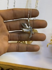 اكسسوارت الريس • كوالتي نار • اشكال غريبه