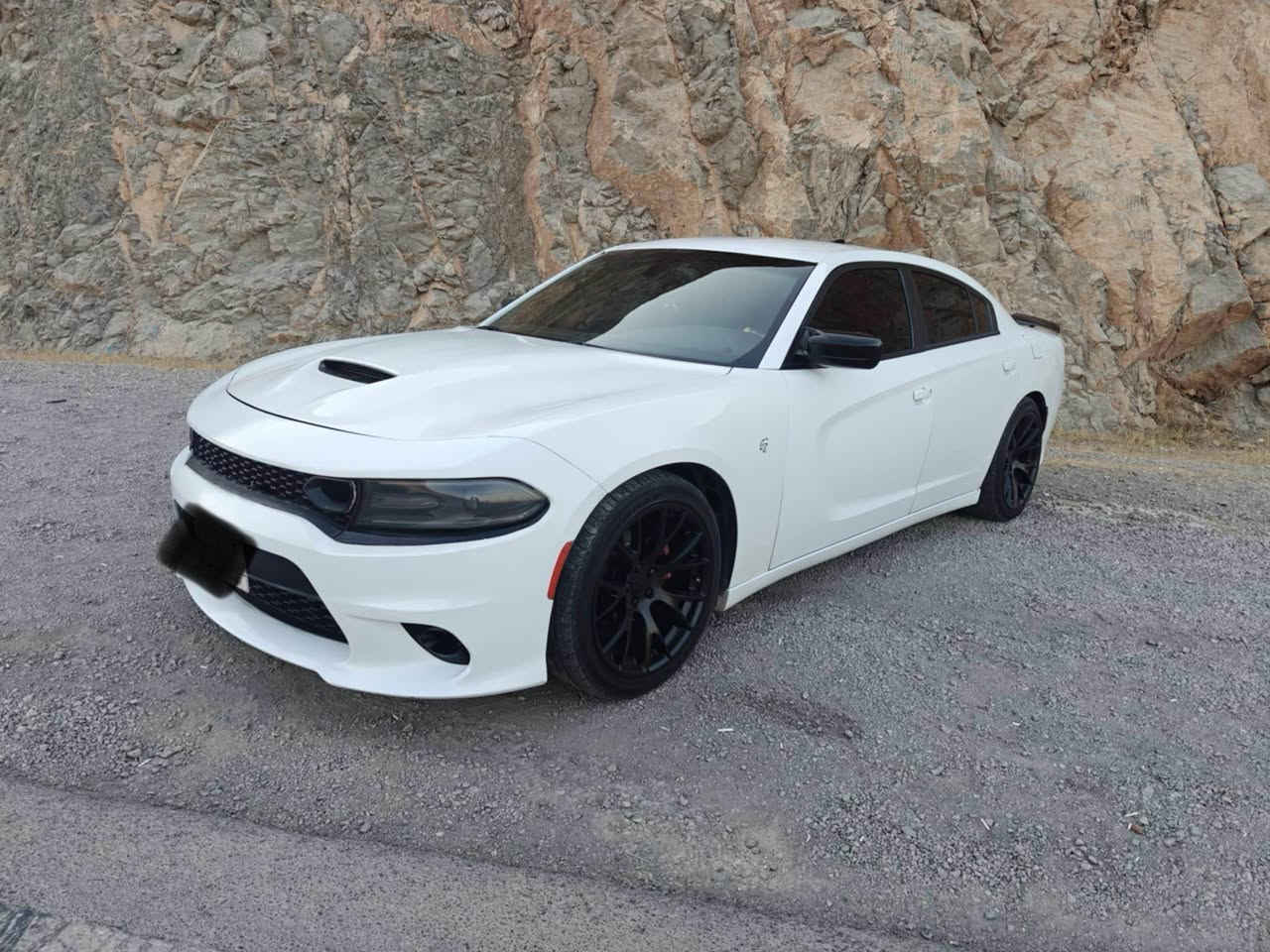 Doodge 2019
٤ پارچەی بۆیاخە بەبێ ژۆرێ بە شەرتی ئەوەلییات مالی کەس نەبێ  رەقەم سەنەوی خوی لە گەلە فولە تەنها سلایت نییە زۆر خاوێن و بێ مەسروف هەموو مەعلاماتەکم نۆسییە 
شوێن/سۆران/١٢٥ معامەلە
وایبەر واتساپ / ***********/*********** سوران, أربيل
