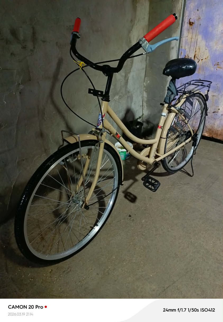 السلام عليكم باسكن حجم 26 موديل 22 مكان كربلاء من الداخلي اللي يشتريه يتصل على هذا الرقم   ***********
