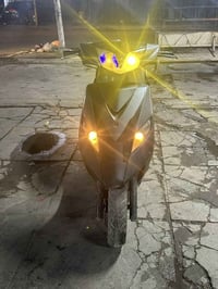 ثعلب • قفل ركبه • اشاير