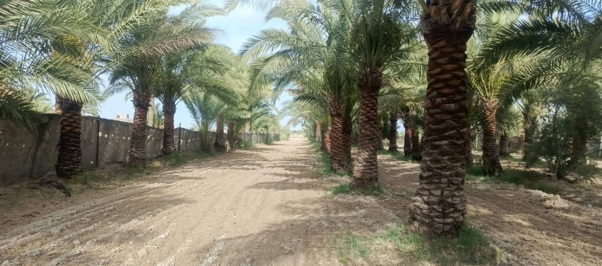 سلام عليكم / بيت وبستان ثلاثه دوانم طابو زراعيالبيع الموقع قلعه سكر حي العسكري  الهاتف  اثير *********** اسيا ***********
