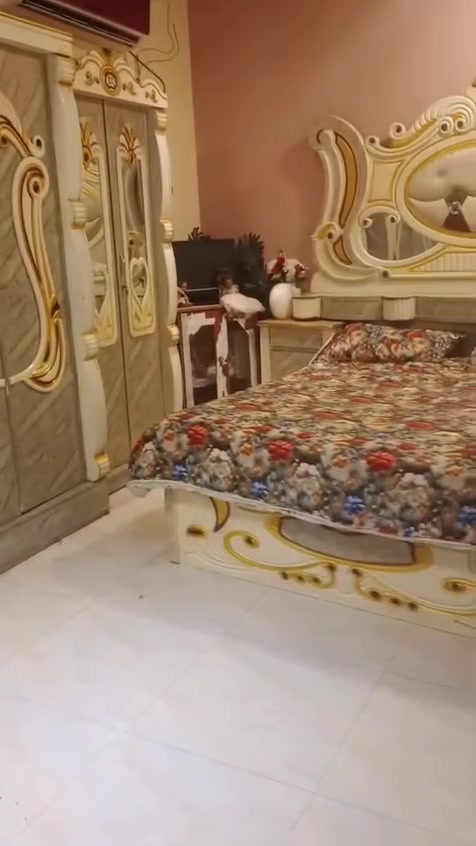 غرفه للبيع مكان البصرة الي يريده يتفضل خاص


**إذا كنت صاحب هذا الإعلان وتريد حذفه لأي سبب، رجاءا أرسل رسالة إلى الدعم الفني**