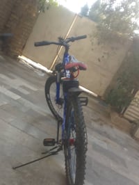 داينوس • ياباني • نضيف