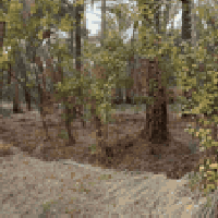 كربلاء الحسينيه • ٥٠٠م/١٠٠٠م • تحويل أسهم