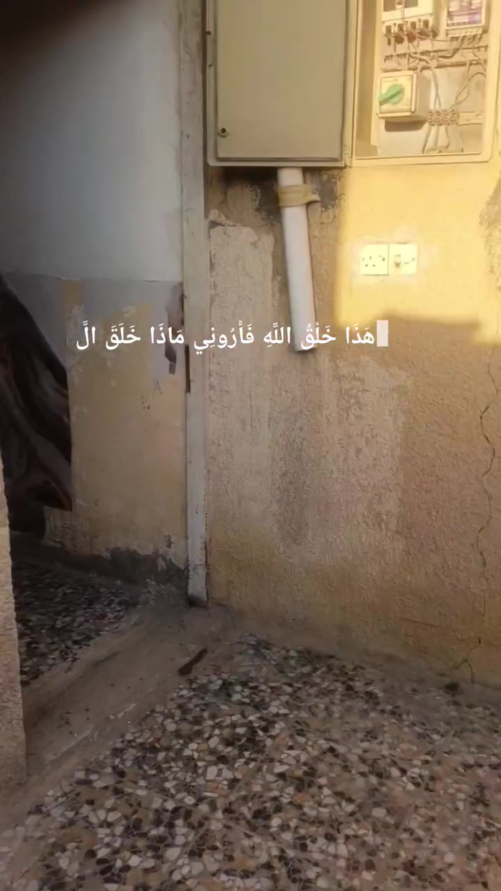 بيت للايجار العبيدي نهاية شارع الشهداء الثالثه قرب مدرسه عمر قرب حي الرحمة
للاستفسار
***********
