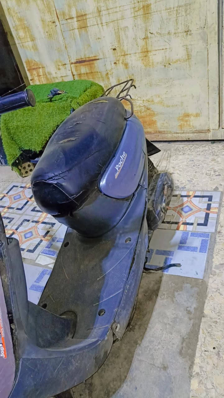 السلام عليكم
منغولي ام سله للبيع كامله مكمله 
لون سمائي مابيهه نقص مامفتوحه شرط الفحص 
نص هند تشتغل ماكلك هندر السلف عوزه واير يشتغل بس اكيد شغال وهورن شعال عداد شغال قياس دهن وتشغيل 
سبب البيع متوازي على فلوسهه سعر 250 وبيهه مجال


**إذا كنت صاحب هذا الإعلان وتريد حذفه لأي سبب، رجاءا أرسل رسالة إلى الدعم الفني**