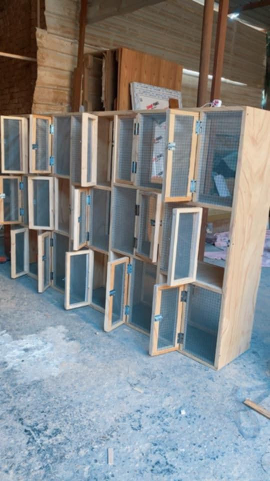 وين عشاق الطيور خانات مرتبه وجهازه بسعر مناسب حسب طلبك وتفصالك تلكه عد نجار قاسم كريم عنوان سده الهنديه ***********
