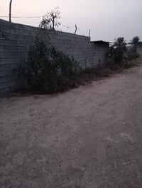 دوار للبيع المساحة 150م وسقيفة هم وياهة تريد السقيفة وحدهة عادي  السقي...