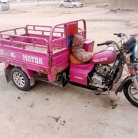 ستوته فرس • موديل 2018 • اوراق