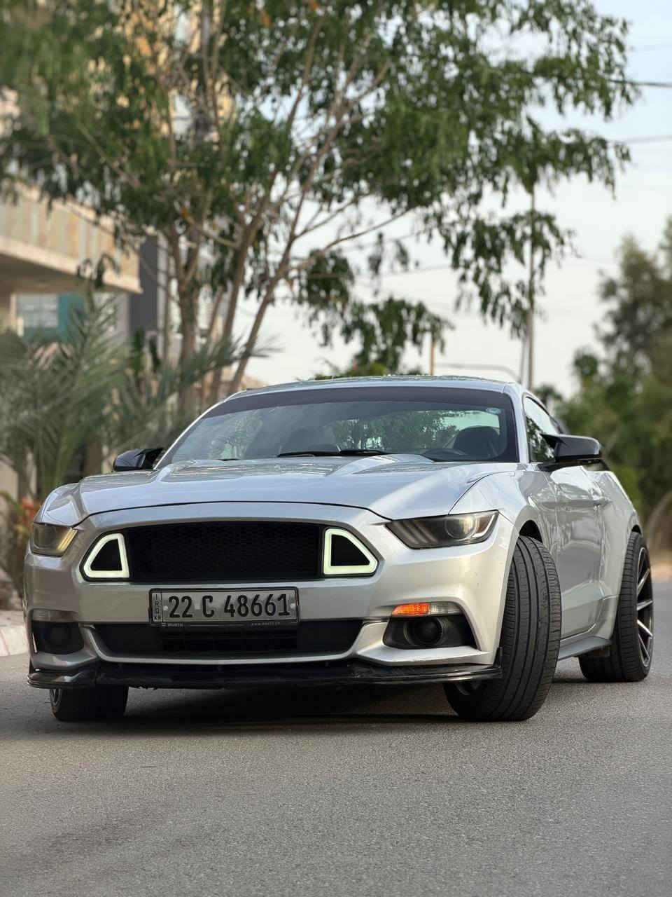السلام عليكم
موستنگ 2015 V6 

لون سلفر 

رقم شمالي أربيل الجديد 

سنوية وهزة جدد لل2030

السيارة داخلة كلين

صور الحادث موجودة بالمنشور 

دواخل كلها بشرط

سونار كامل موجود 

مكينة گير اكسل بالشرط 

الاضافات 

شباك RTR 

لحية 

ويالة ڤوسن حجم 20 

سكوبات مراية وجام 

شاشة جبيرة 

جناح 

دفيوزر 

السيارة نظيفة بشكل وجاهزة بدون مصرف غرفتها وضع شركة 

مكانها كركوك 

السعر 139

*********** بي واتس
