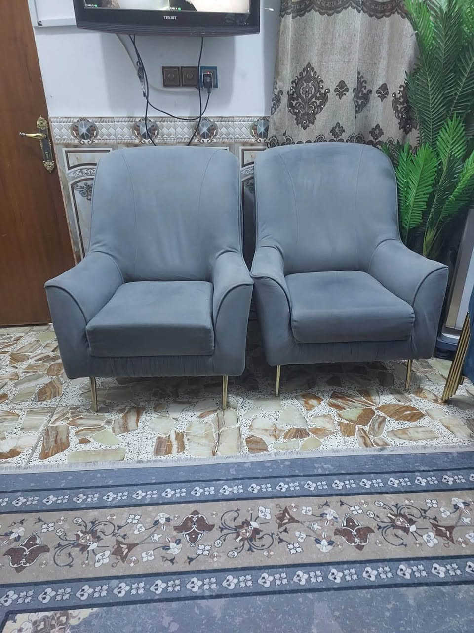 تخم وبردات للبيع  باسعار مناسبة للاتصال***********
