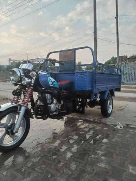 فحل جمره للبيع موديل 23كفاله عامه اوراق اصولي وكيل علي عنجور مكاني كوفه السعر ملونين وميه وخمسين وبيها مجال الشراي بخدمته ورقمي بي واتساب***********
