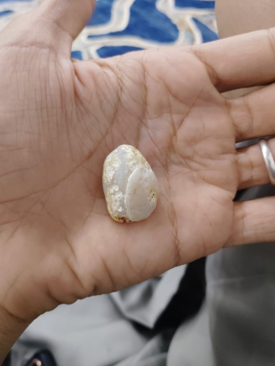 لبيع


**إذا كنت صاحب هذا الإعلان وتريد حذفه لأي سبب، رجاءا أرسل رسالة إلى الدعم الفني**