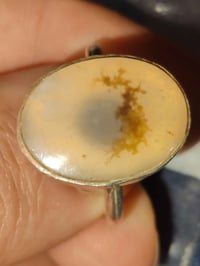 يماني شجري • قياس ٢٣-٢٤ • كربلاء