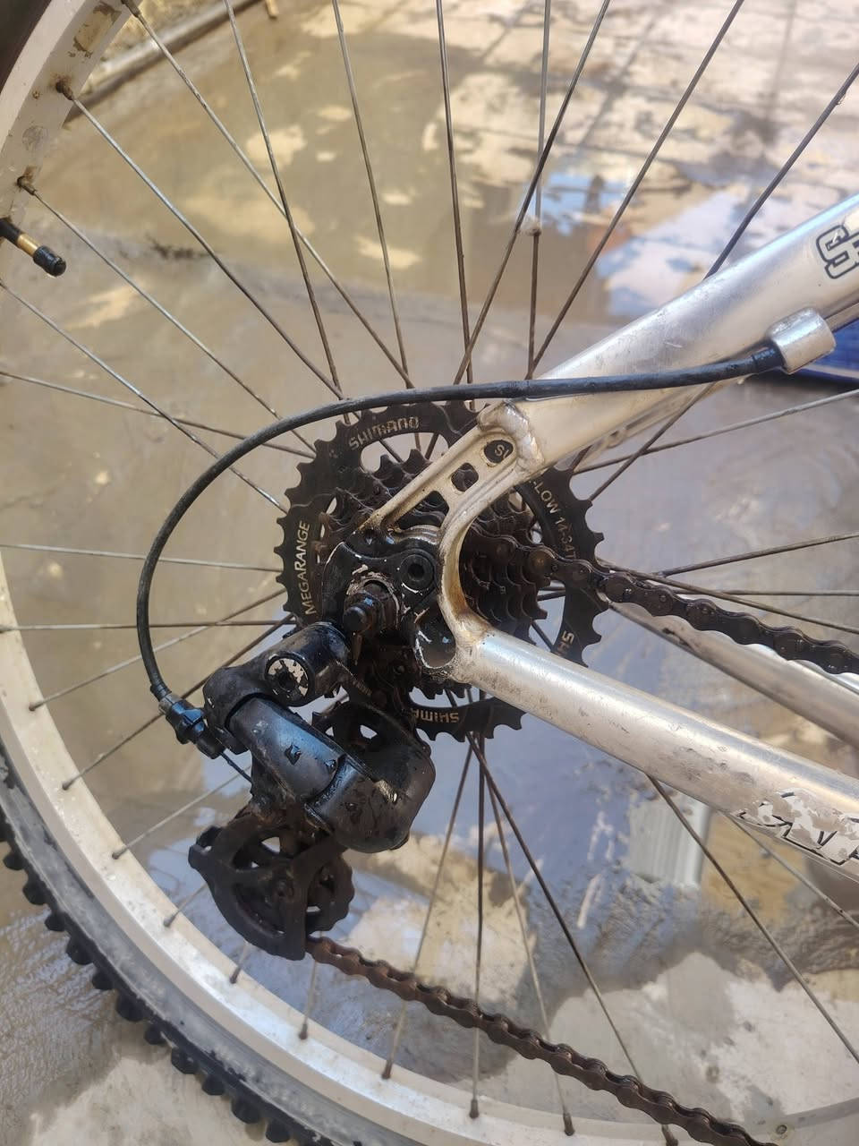 السلام عليكم
باسكل للبيع السعر 50 وبيه مجال
 بدون بريكات والگيوره ما مشدودات 
كلش مريح بالسياقة 

 المكان حي اور  قرب حسينية المصطفى

للاستفسار على خاص بلا زحمة


**إذا كنت صاحب هذا الإعلان وتريد حذفه لأي سبب، رجاءا أرسل رسالة إلى الدعم الفني**