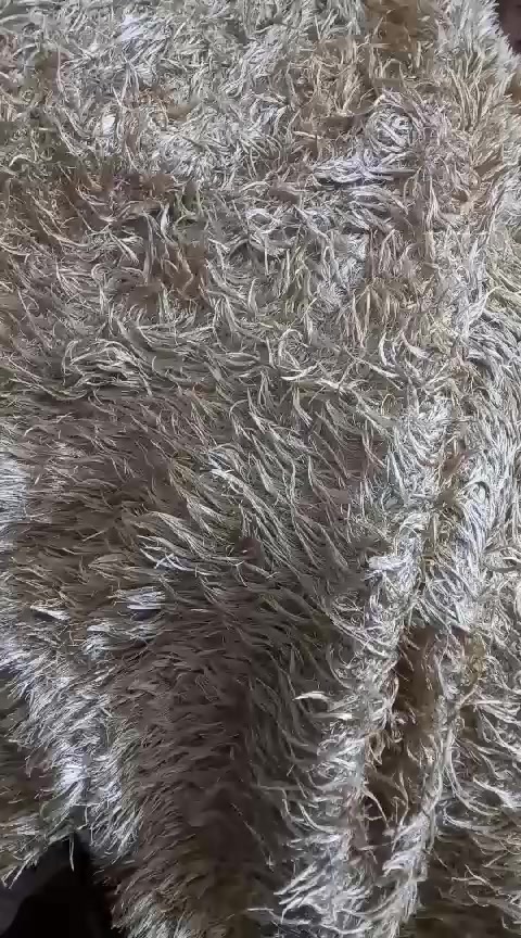 للبيع جديد بطانيات نفرين حرير حفر ليزر لحف فرو نفرين  دواشك اسفنج مميز ثالث  مفرش تخم فرو يستخدم وجهين الشراي يراسل وأهلا وسهلا بجميع


**إذا كنت صاحب هذا الإعلان وتريد حذفه لأي سبب، رجاءا أرسل رسالة إلى الدعم الفني**