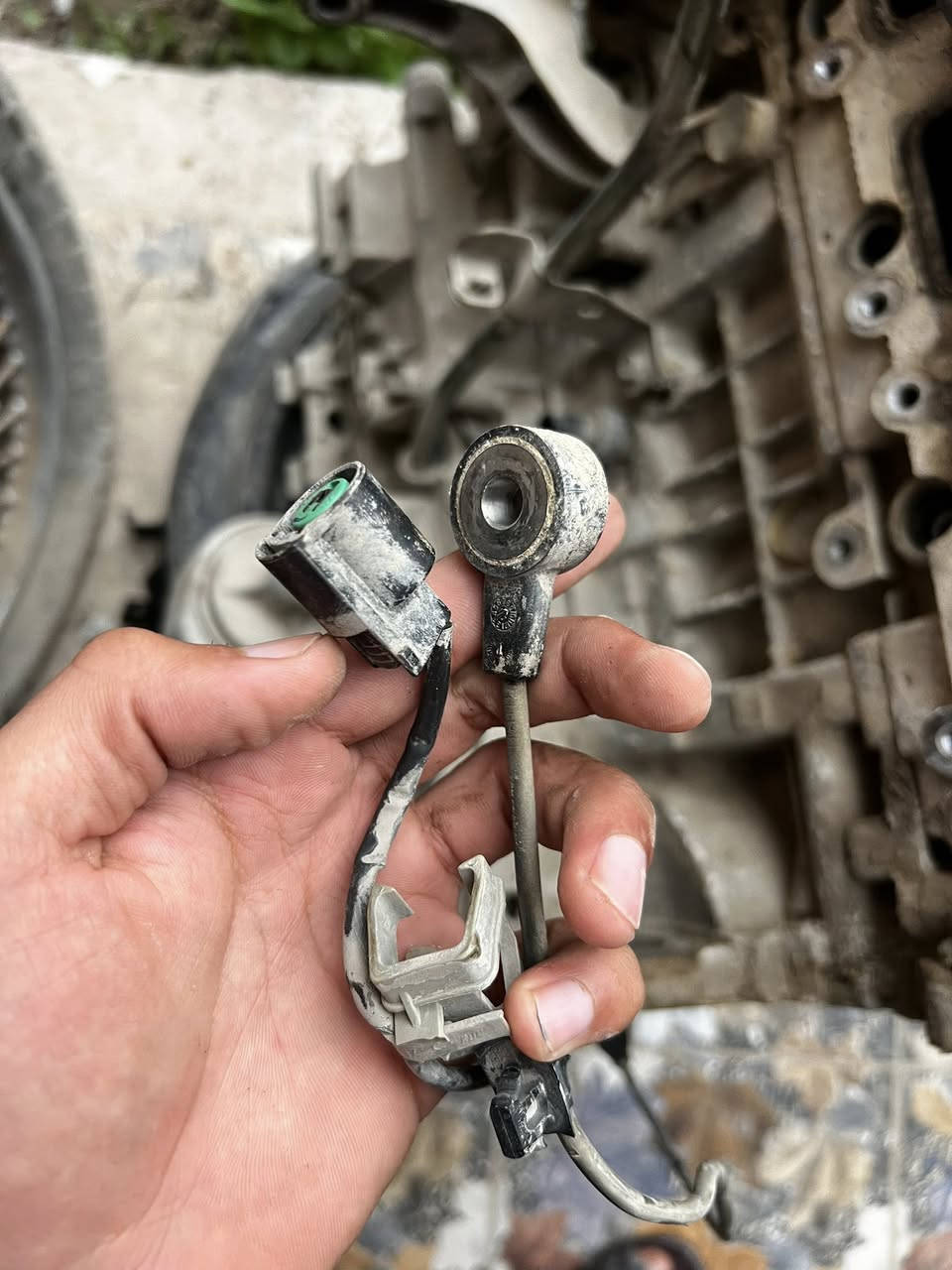 حبايب مكينتي كامت وبدلت كلشي الها وبقن غراضها اليريد شي يدلل
Gdi 2400
متوفر مسطرة مال بخاخات شغاله وجديده وكل شي مابيها قبل متكوم بدلت واشرات الها بالسوك ب 125 ابيعك ب 70

متوفر حساس في في تي جديد وشغال ع الفحص اصلي وكالة هيونداي بالسوك 180-300

ابيعك ب 40

عندي حساسات خلف المكينه اسمه 

🔹 حساس الطرق (Knock Sensor)

صورتهن موجوده سعرهن ثنينهن 40

متوفر 4 مجاول اصلي مال وكاله عندي واحد منهن طاك مكان الفيشه اعتبره هديه الك 

سعرهن اربعتهن 70

هوه التجاري واحد 15-30 

وذني اصليات وع الفحص كله 

متوفر ايضاً قبق ولفات مع الواشر وكاله ثنينهن تفصيخ مو تجاري شرط شخط مابي هوه والواشر 60

توصيل كل المحافظات موجود 

شيعجبك خادم ومنختلف


**إذا كنت صاحب هذا الإعلان وتريد حذفه لأي سبب، رجاءا أرسل رسالة إلى الدعم الفني**