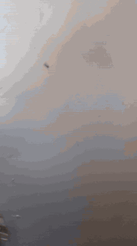 السلام عليكم ورحمة الله وبركاته 
بيت للبيع فقط 
البيت يتكون حسب وصف الفديومن طابق ارضي معزول تماما يتكون من غرفة نوم سويت حمام داخل الغرفه وحمام خارجي وصاله .مطبخ صغير
الطابق الثاني يتكون من شقه طابقين وحسب وصف الفديوطابق الشقه الأول عباره غرفه صاله حمام  
طابق الشقه الثاني غرفه عدد٢ صاله وحمام 
مع سطح
مساحة البيت ٤٠ متر أسهم مشاع واقع حال ٥٠ متر
ل 
صاحب الدار موجود 
رقم الهاتف
***********
***********
***********

بيع مستعجل
