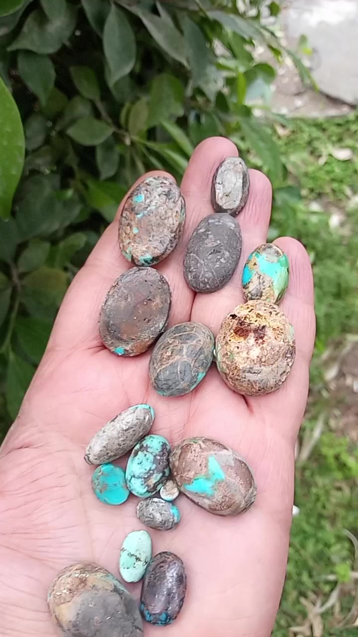 فيروزج ذمه اصلي تفضلو خاص
على باب الله سعر مناسب


**إذا كنت صاحب هذا الإعلان وتريد حذفه لأي سبب، رجاءا أرسل رسالة إلى الدعم الفني**