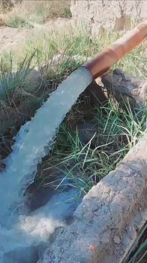 ماطور كهربائي ملفوف ٣٥احصان شغال وخنزيره هنديه وبوري طوله ب١٥ متر ومذب ولوحة كهربائيه كل ملحقاته ابيعها وياه السعر خاص العنوان السماوه


**إذا كنت صاحب هذا الإعلان وتريد حذفه لأي سبب، رجاءا أرسل رسالة إلى الدعم الفني**