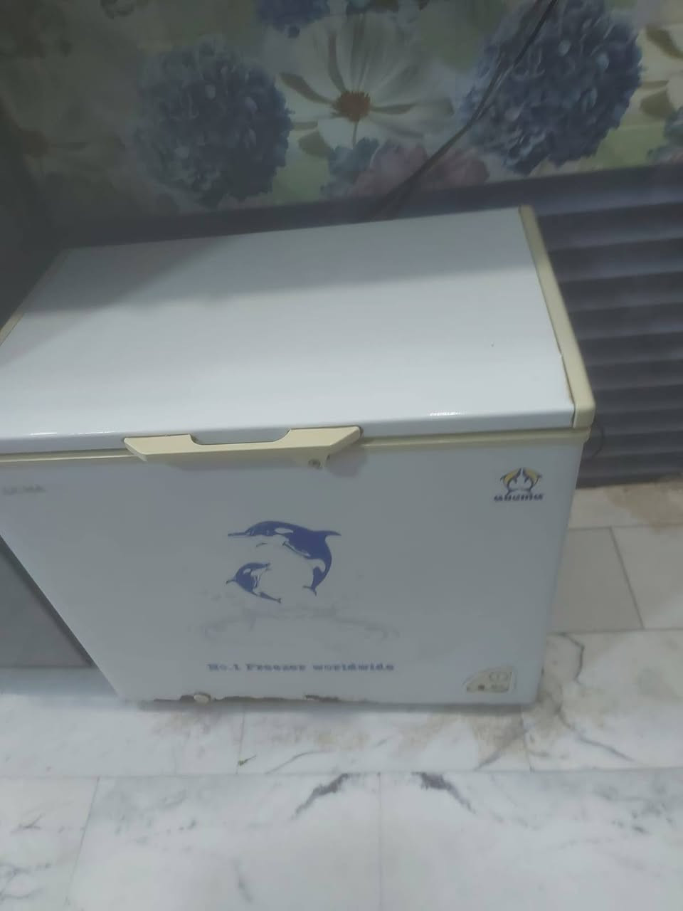 مجمده شرط الشغل نظيفه للبيع


**إذا كنت صاحب هذا الإعلان وتريد حذفه لأي سبب، رجاءا أرسل رسالة إلى الدعم الفني**
