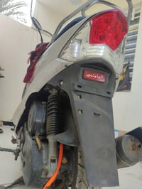 ماكس منغولي • وضع بلاد • كفاله عامه