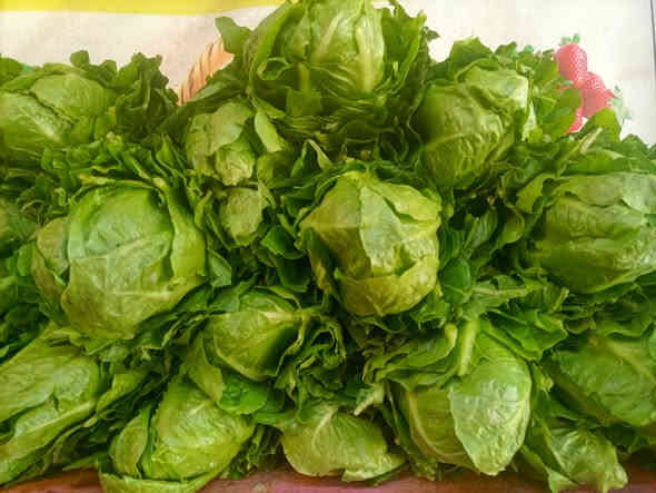 صلو على الحبيب قلبك يطيب

بسم الله ماشاءالله 

خيرات اليوم الاربعاء 2025/11/19

#يوجدلدينا #خدمة #توصيل #كافت #مناطق #ابوغريب

اتصل يوصلك طلبك اباب بيتك

الفرع الاول خرنابات شارع السچه 

***********///***********

#يوجدلدينا #دجاج #ذبح #عراقي

#اسعارنا #اليوم #غير #شكل

بصل صاجي 750 
بصل كرستال 750
بصل حار 750
بصل اخضر 750
اسود عراقي 750
شلغم 750
قرنابيط 750
اشوندر 750
شجر 750
طماطه  750
بطاطا عراقيه 750
لهانه حمرة 750
لهانه خضرة 750
ذرة 🌽عراقيه 750
ركي عراقي 750🍉🍉🍉
اخيار عراقي 1000
فلفل بارد 1000
فلفل حار 1000
فلفل الوان 3000
ثوم  كيس 1000🧄🧄
ثوم مصري كيلو3000🧄🧄
خس عراقي  1000🥬🥬🥬
جزر  1000🥕🥕
اسكله 1000
فاصوليه عراقيه 2000
لوبيا 1500
شمام 1500
كستنه 5000
