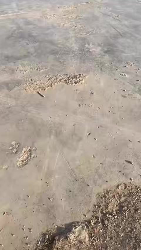 تم انتقال محل عالم تبريد بصف مطعم علاوي حسوني


**إذا كنت صاحب هذا الإعلان وتريد حذفه لأي سبب، رجاءا أرسل رسالة إلى الدعم الفني**