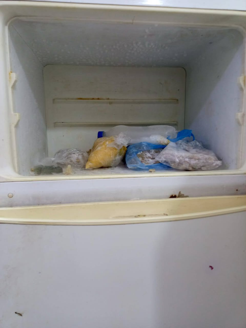 ثلاجه مستخدمه للبيع عنوان كربلاء كنطره السلام


**إذا كنت صاحب هذا الإعلان وتريد حذفه لأي سبب، رجاءا أرسل رسالة إلى الدعم الفني**