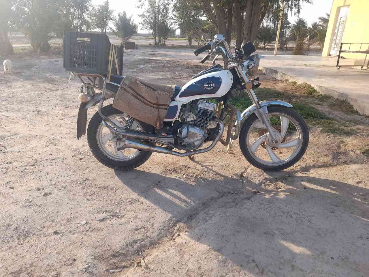 دراجه جني موديل 12 اوراق اوصوليه دراجه خير من الله كله شغاله مابيه اينقص كهربايات شغاله محرك ناعم بس نقص اسلف وبس امكان ديالى كنعان سيسبانه اسعر 300 وبيه مجال ***********
