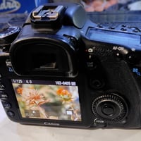 كانون 7D + 50mm STMاحترافية  للبيع 💪🔥 كاميرا كانون 7D + عدسة 50mm f1.8...