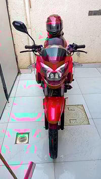 خفاش 2023 • دراجة مكفولة • نجف