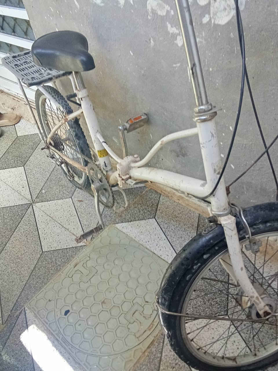 بايسكل للبيع السعر 50 وبي مجال


**إذا كنت صاحب هذا الإعلان وتريد حذفه لأي سبب، رجاءا أرسل رسالة إلى الدعم الفني**