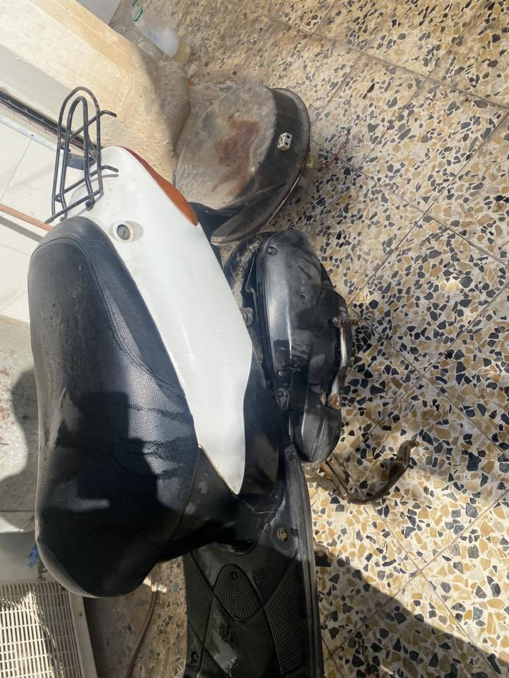 ذبانه ساسوكي للبيع 
نضيفه بس تجفيت فقط
 ***********
