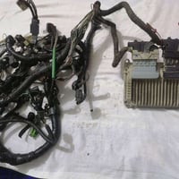 ضفيرة وعقل • جيلي • ناصرية