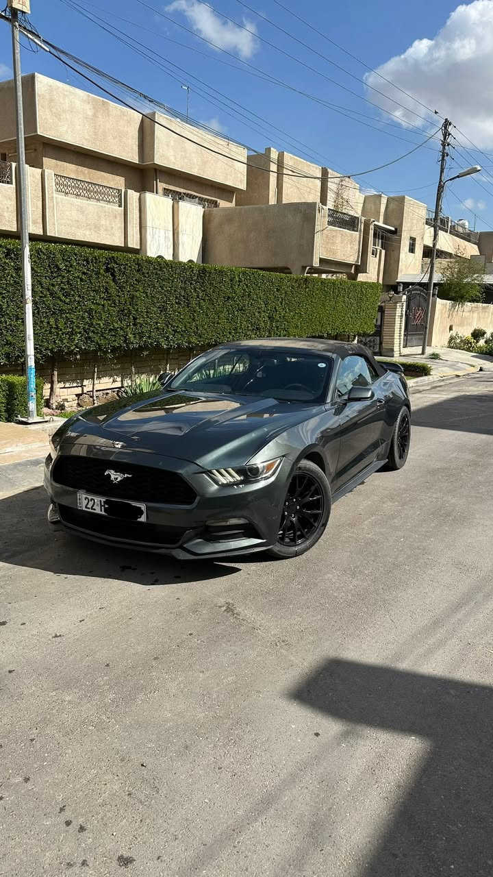 السلام عليكم
*فورد موستنك 2015 كشف 
*محرك v6 3700 
*ماشية 135 ميل
*لون زيتوني طوخ مميز 
*السيارة داخلة كلين وهنا صار بيها جاملغ امامي صبغ وشوية بالبنيد وطخة بالجاملغ الخلفي وكم مكان بارد صورة السونار موجودة 
* رقم اربيل باسمي تحويل بشرط سنوية لحد 2028
*شاشة sync 3 اصلية مال تفصيخ وتحكماتها كلها شغالة مودات القيادة والستيرن 
*عليها منظومة لايت زينون
*جناح شيلبي
*دبل بصمة تشغيل عن بعد 
السيارة نظيفة ومصروف عليها هواي ونصبتها بالحقيقة احلى من الصور  
السعر 150 وبيها مجال 
مكانها بالسيدية 
‏‭***********‬
