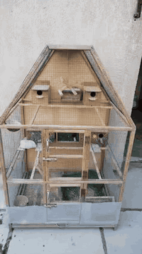 سلام عليكم 
اقفاص للبيع العدد 2 
نضيفات وتفصال تجي وشوف بعينك مع كل المحتويات
  القياسات مذكورة بلمقطع  

سعر القفص المثلث 75 وبيه مجال
سعر القفص المستطيل 100 وبي مجال

مكاني بغداد حي النص قرب شارع العيادة 
اتصل على الرقم ‭***********‬ متواجد على الرصيد وعلى الواتساب خابر وتدلل
