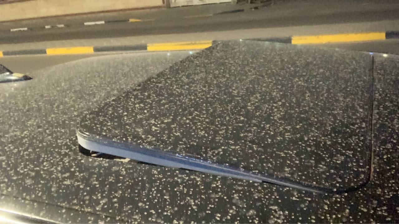 بي ام. 735 مكينه مفتوح مكينه صافيه وكير جديد قبل كم شهر بدلته وايرفلو جديد باتري جذيد حداديه الكدامً 70/100 اما الورا 100/100 سبب بيع بهل سعر لان محتاج شوف فيدو عدل السكن البصره رقم الهاتف *********** ممتواجد على الفيس فقط وتساب السياره منتهيه سنويه ب 21 اتعهد تحويل السياره اقره عدل قبل لتراسلني وتكولي شنو نقصها نقصها بطيخه بنص و جامه ورا مثل ماموضح  وكمبريسر تورنه فقط لا اكثر افل اصوليات فقط تجي شوف بعينك وتقتنع سعر 15 بيه مجال قليل حك الجيه البصرة, العراق
