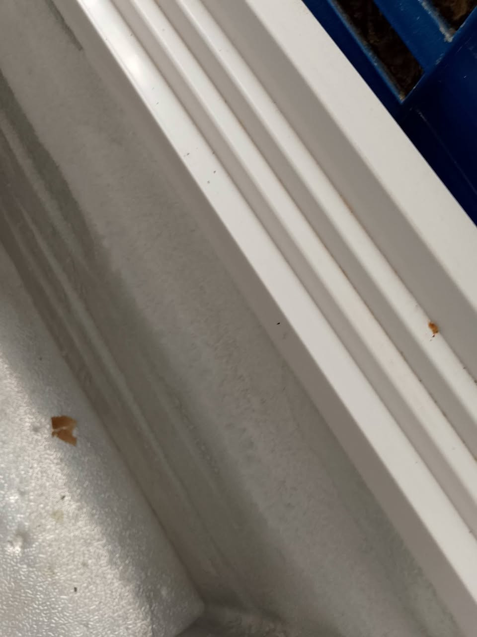 مجمدات ثنين وحدة جنرال والثانيه عشتار 
السعر 300 شغالات مابيهم عيب
***********
